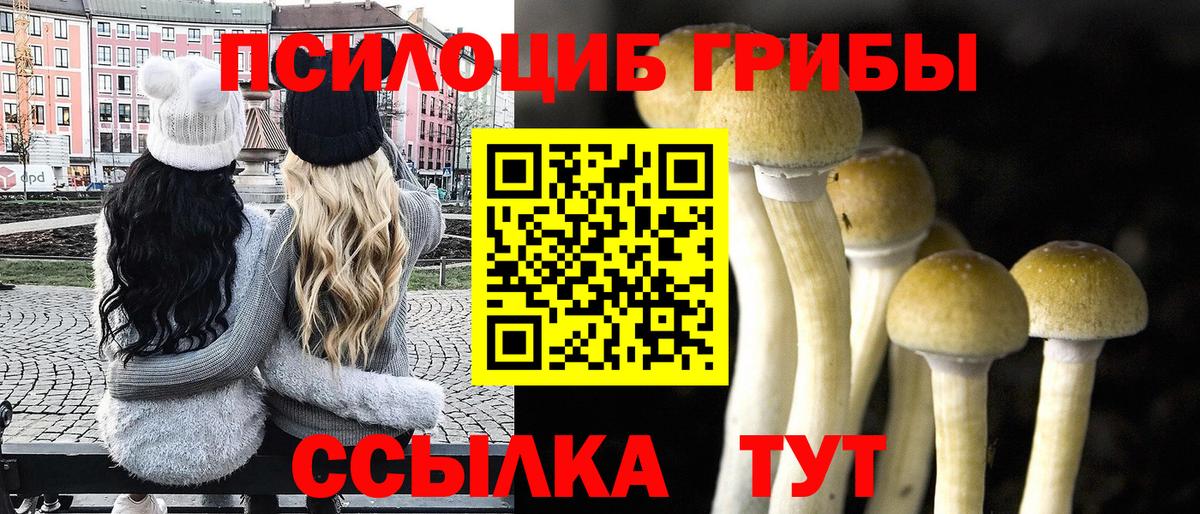 Псилоцибиновые грибы мицелий  Галлюциногенные грибы мухоморы  Вход с VPN  Похвистнево 
