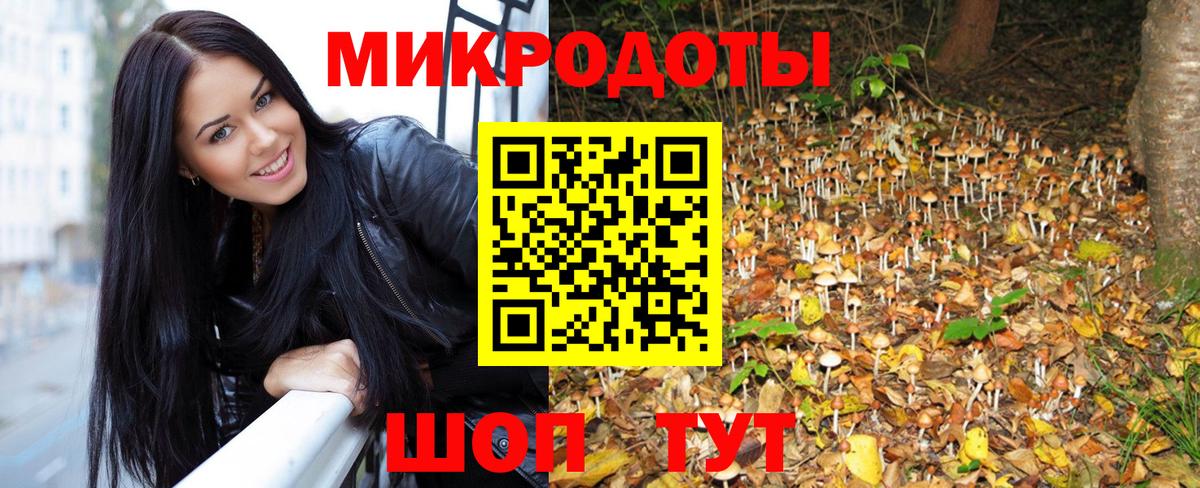 Псилоцибиновые грибы Psilocybe Похвистнево